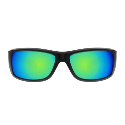 Polarized sunglasses Ozzie OZ 05:06 P5