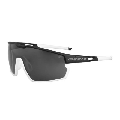 Polarized sunglasses Ozzie OZ 12:20 P1